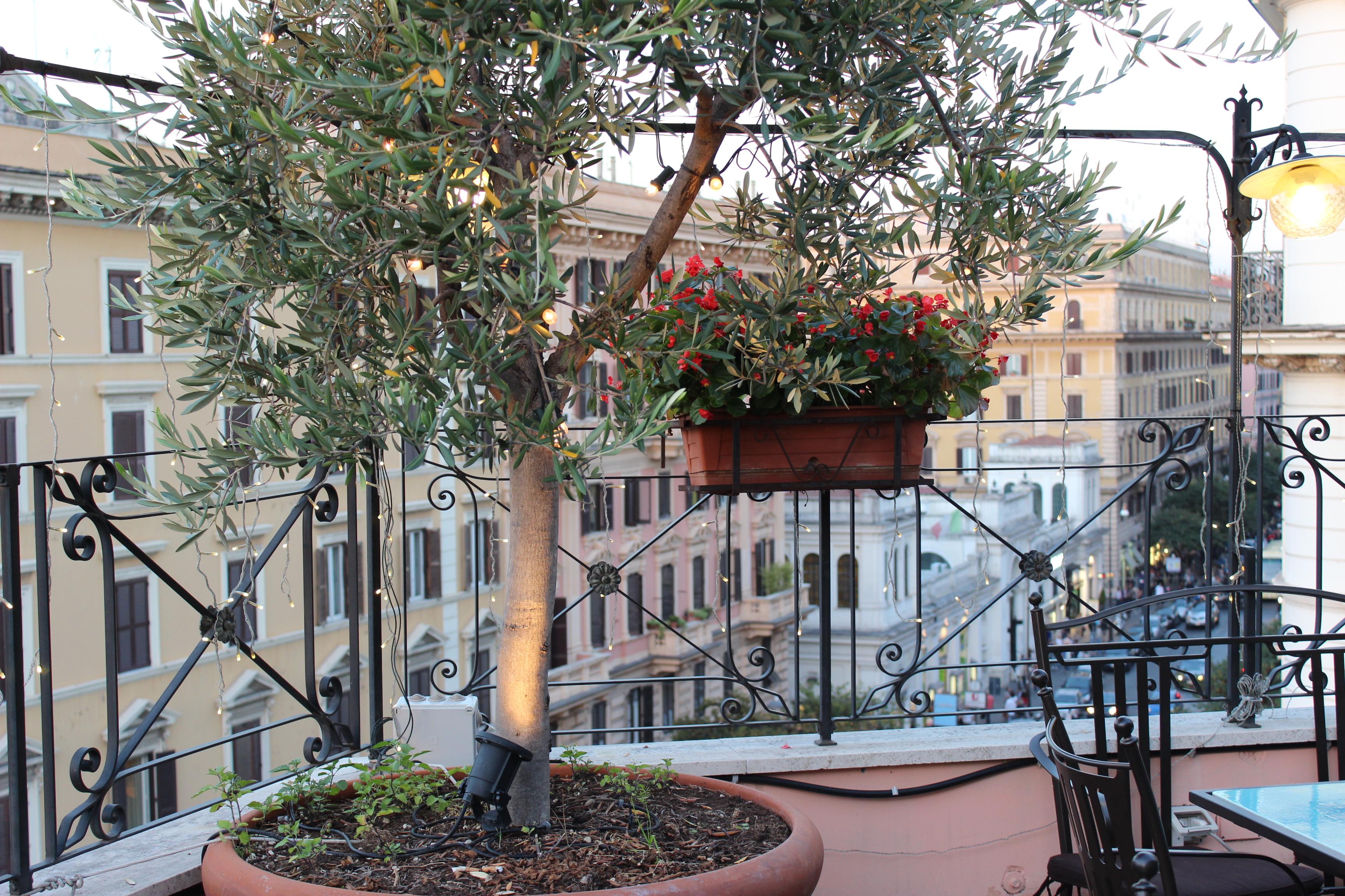 Hotel Dei Consoli Vaticano Rom Exterior foto