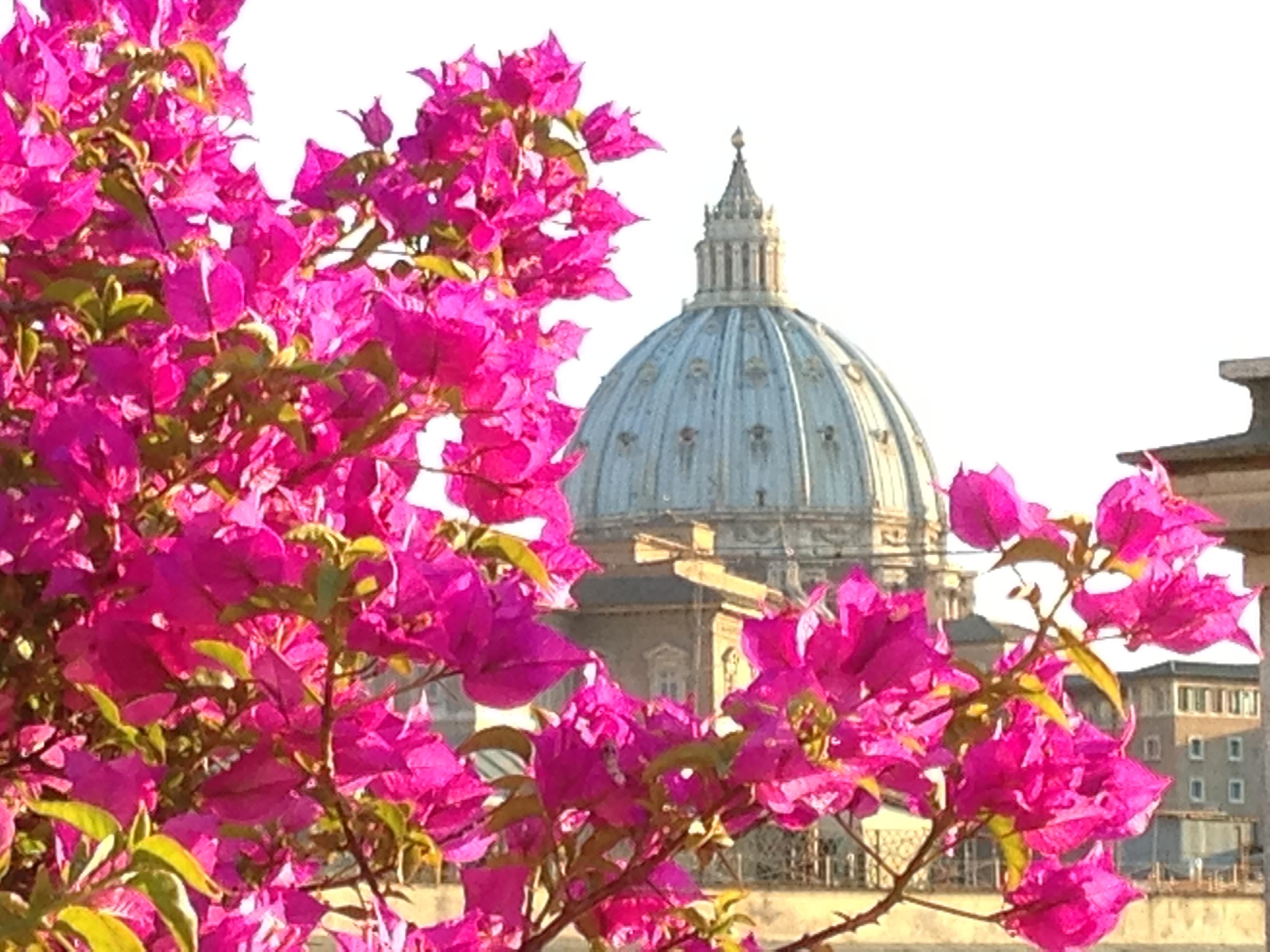 Hotel Dei Consoli Vaticano Rom Exterior foto